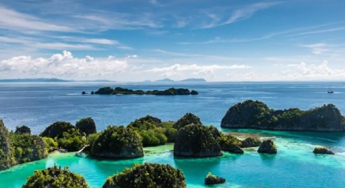 Wisata Raja Ampat Keindahan Bawah Laut Mendunia