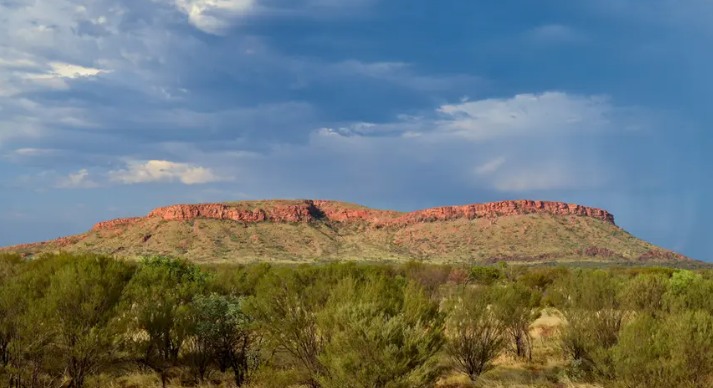 Petualangan Eksotis di Gurun Outback Australia