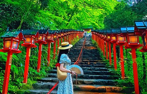 Keindahan Alam Arashiyama Bamboo Grove di Kyoto