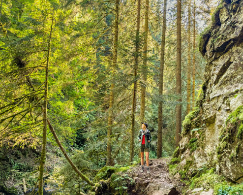 Petualangan Alam di Black Forest