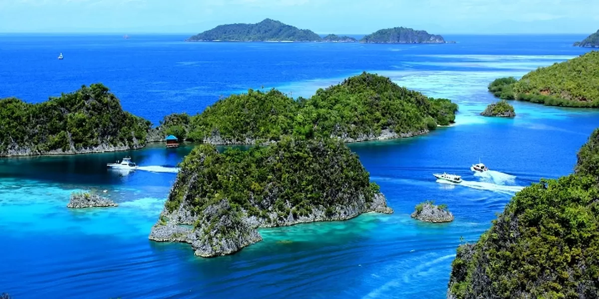 Review Liburan Raja Ampat Surga Bawah Laut Papua